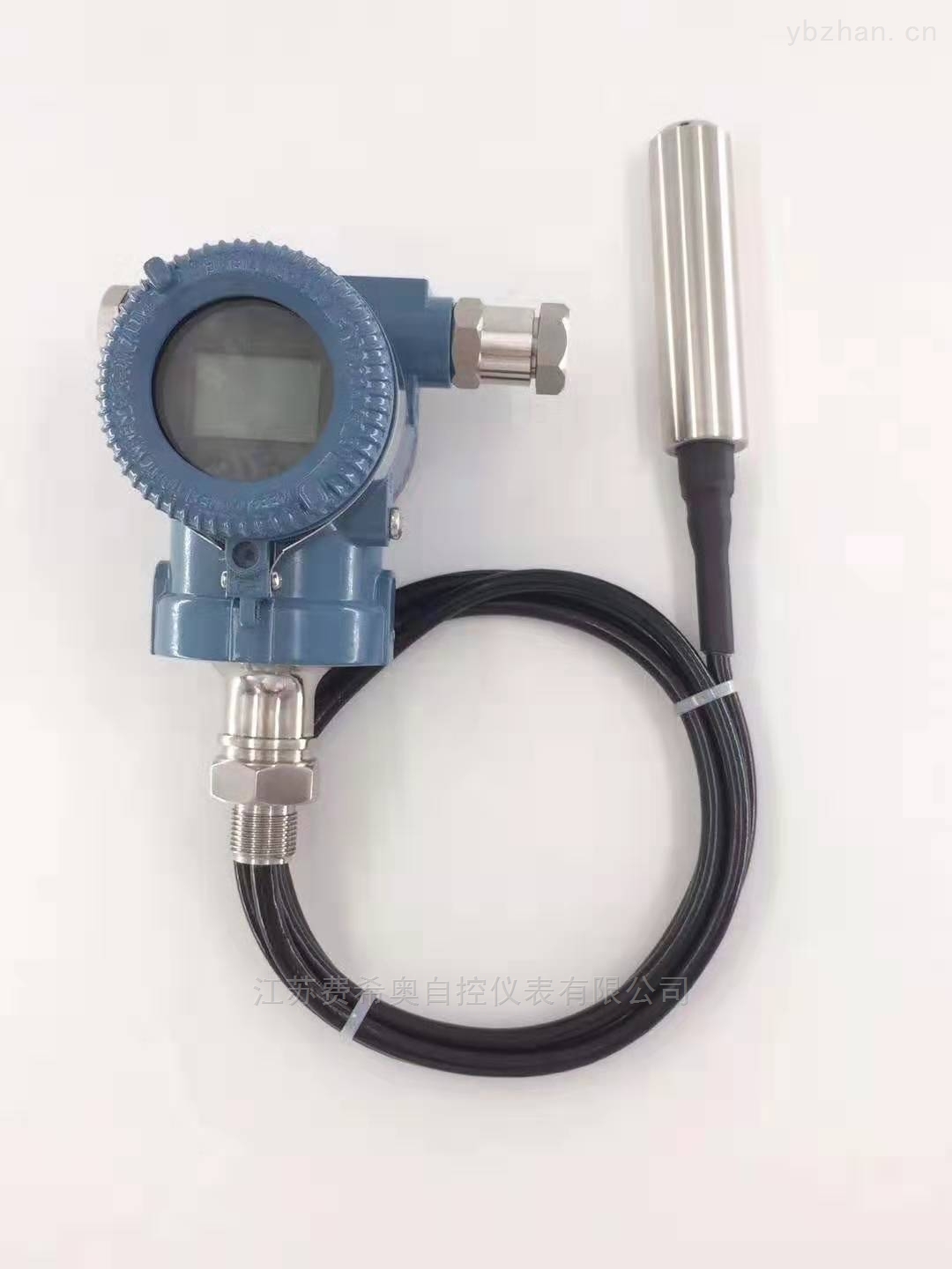 供應(yīng)投入式液位計