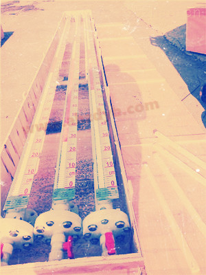 磁性翻板式液位計(jì)